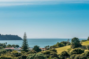 Roses Bach - Stay Waiheke